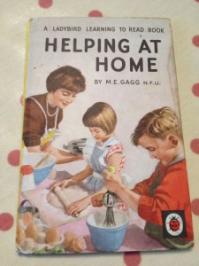 Ladybird Helping At Home