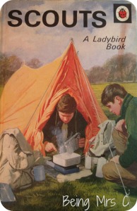 Ladybird Scouts
