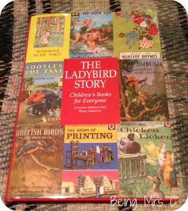Ther Ladybird Story