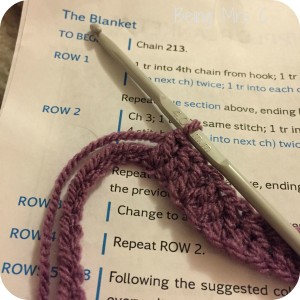 Crochet Ripple Blanket