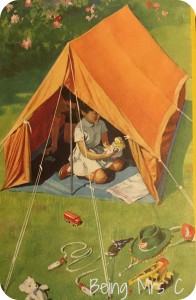 Ladybird Fifth Picture Book