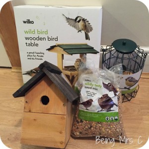 Wilko Birds Kit